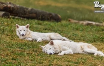 شركة الأمريكية تحقق إنجاز علمي غير مسبوق.. ما التفاصيل؟