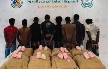 إحباط محاولة تهريب كمية من نبات القات المخدر بمنطقة عسير