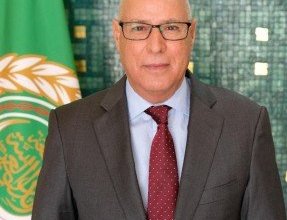 جامعة الدول العربية تحتفي باليوم العالمي للإعلام التنموي بالتأكيد على اهمية التنمية المستدامة