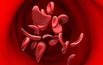 إنجاز علمي في كامبريدج: إنتاج خلايا دم بشرية في المختبر تحاكي تكوينها الطبيعي داخل الأجنة