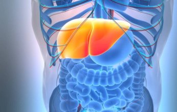 دراسة يابانية.. الشاي الأخضر درع طبيعي ضد مرض الكبد الدهني