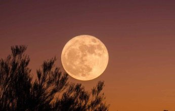 دراسة صينية: طبقة الوشاح على الجانب البعيد من القمر أبرد من الجانب القريب