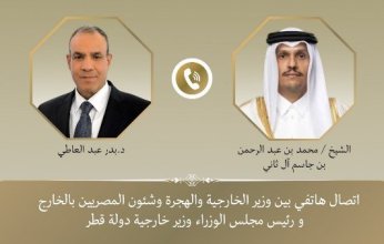 مصر وقطر تشدّدان على ثوابت الموقف العربى الداعى لوقف حرب غزة