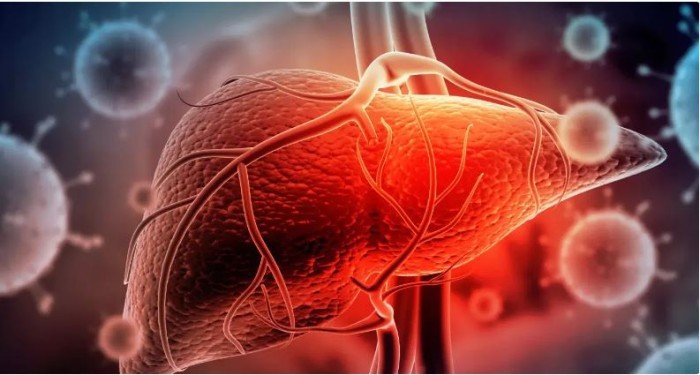 الصحة المصرية تُطلق خطة استدامة القضاء على الالتهاب الكبدي الفيروسي (2025-2030)