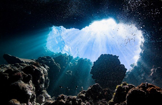 العلماء يكتشفون "كرة الموت" المفترسة في أعماق المحيط الجنوبي العلماء يكتشفون "كرة الموت" المفترسة في أعماق المحيط الجنوبي