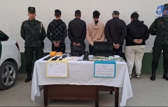 ضبط شبكة نصب إلكترونية استغلت مواقع التواصل لإيهام الشباب بفرص عمل خارجية