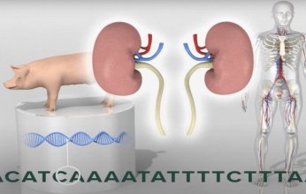 تجربة علمية رائدة تهز الأوساط الطبية حول العالم!.. ما التفاصيل؟
