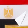 فتح باب التصويت بسفارتي مصر في الأرجنتين والبرازيل بانتخابات النواب 2025