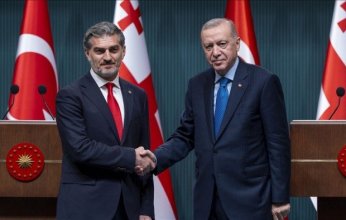 تركيا وجورجيا تبحثان جهود الكشف عن ملابسات تحطم الطائرة المنكوبة