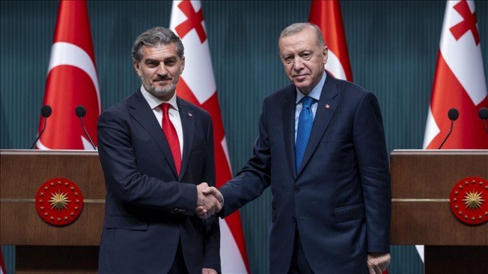 تركيا وجورجيا تبحثان جهود الكشف عن ملابسات تحطم الطائرة المنكوبة تركيا وجورجيا تبحثان جهود الكشف عن ملابسات تحطم الطائرة المنكوبة