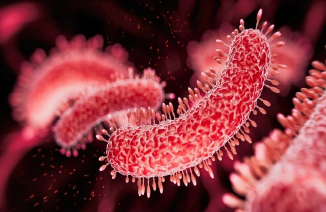 دراسة جديدة تحسم الجدل: ميكروبيوم الأمعاء لا يرتبط بالتوحد دراسة جديدة تحسم الجدل: ميكروبيوم الأمعاء لا يرتبط بالتوحد