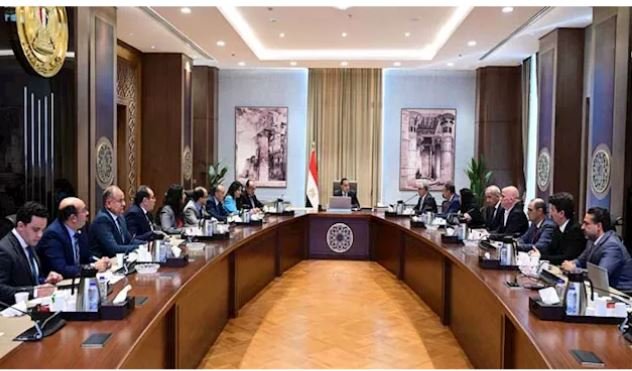 الحكومة المصرية: مد الإعفاء من رسوم مقابل "الجعل" لمدة عام لجميع دول العالم