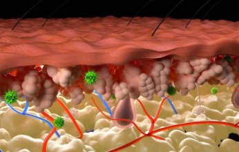 علماء روس يطورون "جسيمات نانوية" لعلاج الجروح المزمنة والحروق الشديدة