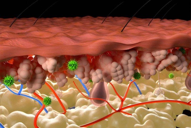 علماء روس يطورون "جسيمات نانوية" لعلاج الجروح المزمنة والحروق الشديدة علماء روس يطورون "جسيمات نانوية" لعلاج الجروح المزمنة والحروق الشديدة