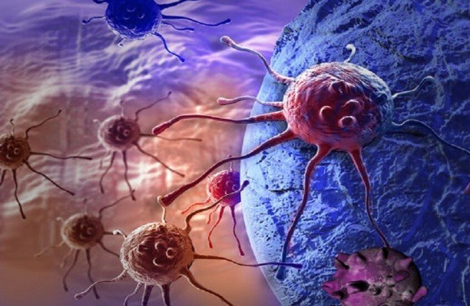 اكتشاف آلية خفية تساعد الخلايا السرطانية على استعادة نموّها بعد العلاج