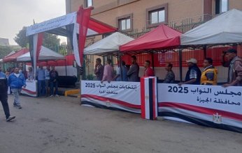 مصر.. إلغاء انتخابات مجلس النواب في 19 دائرة بـ 7 محافظات وتحديد موعد آخر لإجرائها