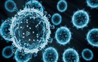 عالم أوبئة روسي: سلالة إنفلونزا الطيور H5N5 لا تهدد البشر