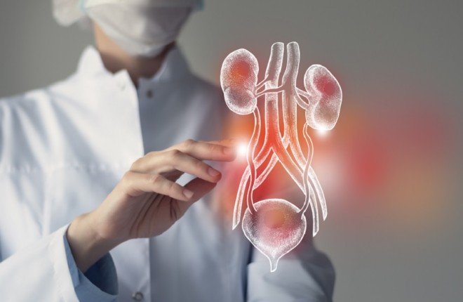 أدوية التخسيس تمنح مرضى الفشل الكلوي أملاً جديداً في التأهل لزراعة الكلى أدوية التخسيس تمنح مرضى الفشل الكلوي أملاً جديداً في التأهل لزراعة الكلى