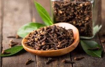 مضغ القرنفل يومياً.. عادة بسيطة بفوائد صحية مذهلة للجسم والمناعة والقلب