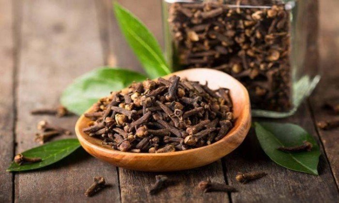 مضغ القرنفل يومياً.. عادة بسيطة بفوائد صحية مذهلة للجسم والمناعة والقلب مضغ القرنفل يومياً.. عادة بسيطة بفوائد صحية مذهلة للجسم والمناعة والقلب