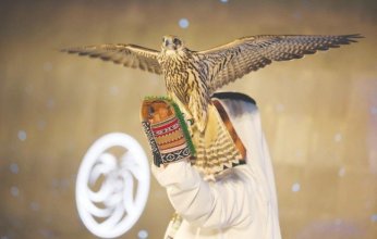 استضافة الكويت النسخة الأولى من كأس الإمارات العالمية لسباقات الصقور.. الأخوة والصدق والوفاء في أسمى معانيها