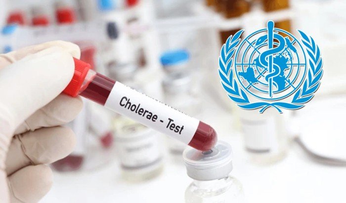 «الصحة العالمية»: 237 وفاة بالكوليرا في اليمن و87 ألف إصابة خلال الفترة من أول يناير وحتى 31 أكتوبر