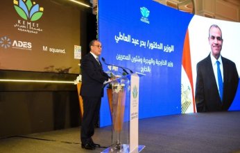 وزير الخارجية: صلابة الدولة المصرية ورؤية القيادة ووعي الشعب أسهم في استقرار الوطن ودعم التنمية وجهود السلام