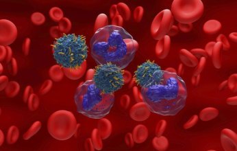 مركّب نباتي واعد يفتح آفاقاً جديدة لعلاج أحد أخطر أنواع سرطان الدم