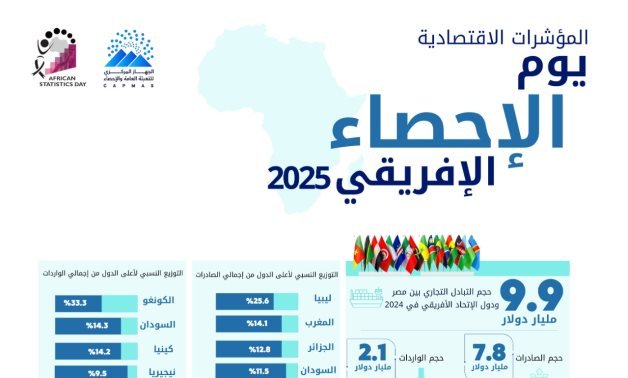 جهاز الإحصاء: 7.8 مليار دولار صادرات مصر إلى دول الاتحاد الأفريقي عام 2024