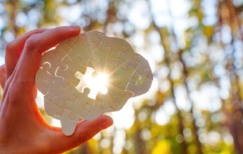 تحديد "الجسم المثالي" للحفاظ على شباب الدماغ.. دراسة تكشف العلاقة بين العضلات والدهون الحشوية