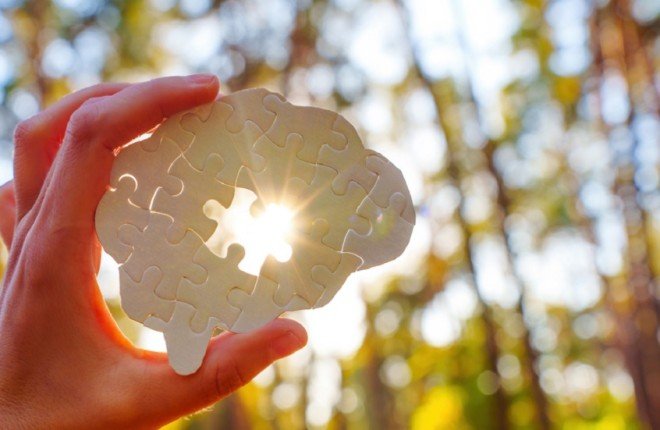 تحديد "الجسم المثالي" للحفاظ على شباب الدماغ.. دراسة تكشف العلاقة بين العضلات والدهون الحشوية