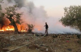 شمال غرب رام الله.. مستوطنون يضرمون النار في أراضي الفلسطينيين
