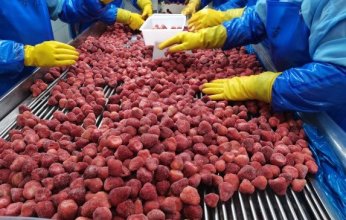 صادرات الصناعات الغذائية تتجاوز 6.3 مليار دولار خلال 11 شهر