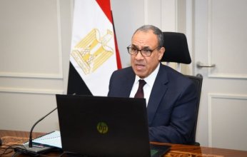 لقاء افتراضي لوزير الخارجية مع الجالية المصرية في كمبوديا وسنغافورا وتايلاند