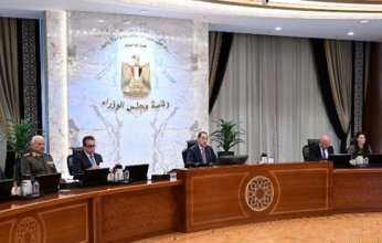 مصر.. قرار جديد من مجلس الوزراء بشأن محطات توليد الكهرباء بجبل الزيت