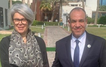 وزير الخارجية المصري يؤكد أهمية وقف إطلاق النار في السودان