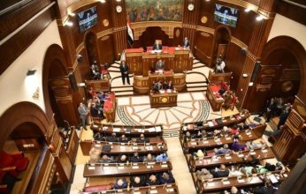 مصر.. مجلس الشيوخ يقر نهائيًا تعديلات قانون الكهرباء ويشدد العقوبات على سرقة التيار