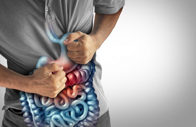 أطعمة تعيد توازن ميكروبيوم الأمعاء وتدعم المناعة والصحة الذهنية