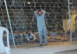 استشهاد 3 أسرى فلسطينيين داخل سجون الاحتلال الإسرائيلي
