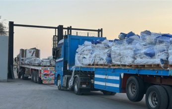 الهلال الأحمر المصري: قافلة «زاد العزة» الـ 88 تحمل 71 ألف بطانية ومايزيد عن 9 آلاف طن مساعدات إنسانية إلى غزة
