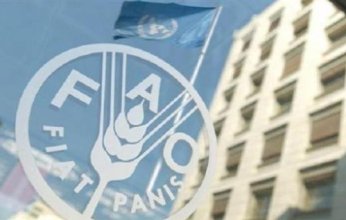 المدير العام لمنظمة الفاو يعرب عن امتنانه لمصر لدعم التعاون معها