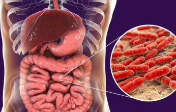 الأمعاء وصحة العقل: بكتيريا الأمعاء تؤثر على أعراض اضطراب ثنائي القطب