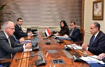 وزيرا الري والخارجية يؤكدان: مصر ترفض الإجراءات الأحادية بحوض النيل الشرقي