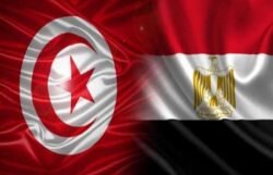 تونس تسهل إجراءات حصول المصريين على تأشيرات الدخول اعتبارا من 15 يناير تونس تسهل إجراءات حصول المصريين على تأشيرات الدخول اعتبارا من 15 يناير