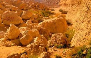مصر تُعزز حماية التنوع البيولوجي بخطط إستراتيجية وبرامج رصد وحماية شاملة