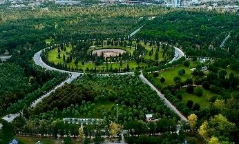 مصر تكثف جهودها لتعزيز النقل المستدام وإدخال الحافلات الكهربائية.. التفاصيل الكاملة