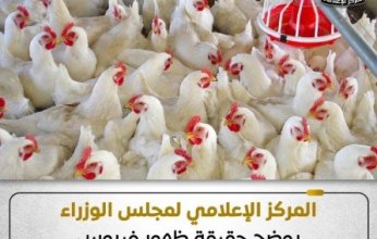 الحكومة المصرية تنفي ظهور إنفلونزا الطيور في المزارع وتوضح أسباب ارتفاع أسعار الدواجن