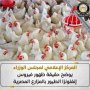 khaligyoun57014