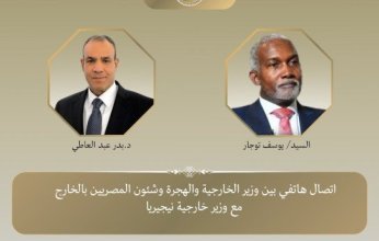 مصر ونيجيريا تبحثان تعزيز العلاقات الثنائية والتطورات بالقارة الإفريقية