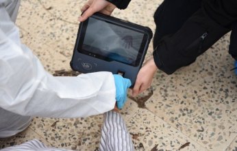 الداخلية الكويتية تنفذ تمرين العين الثاقبة بجزيرة فيلكا لتعزيز جاهزية قطاعاتها الأمنية